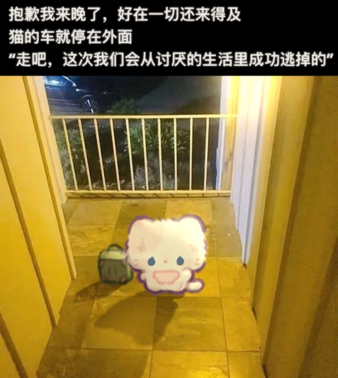 memes