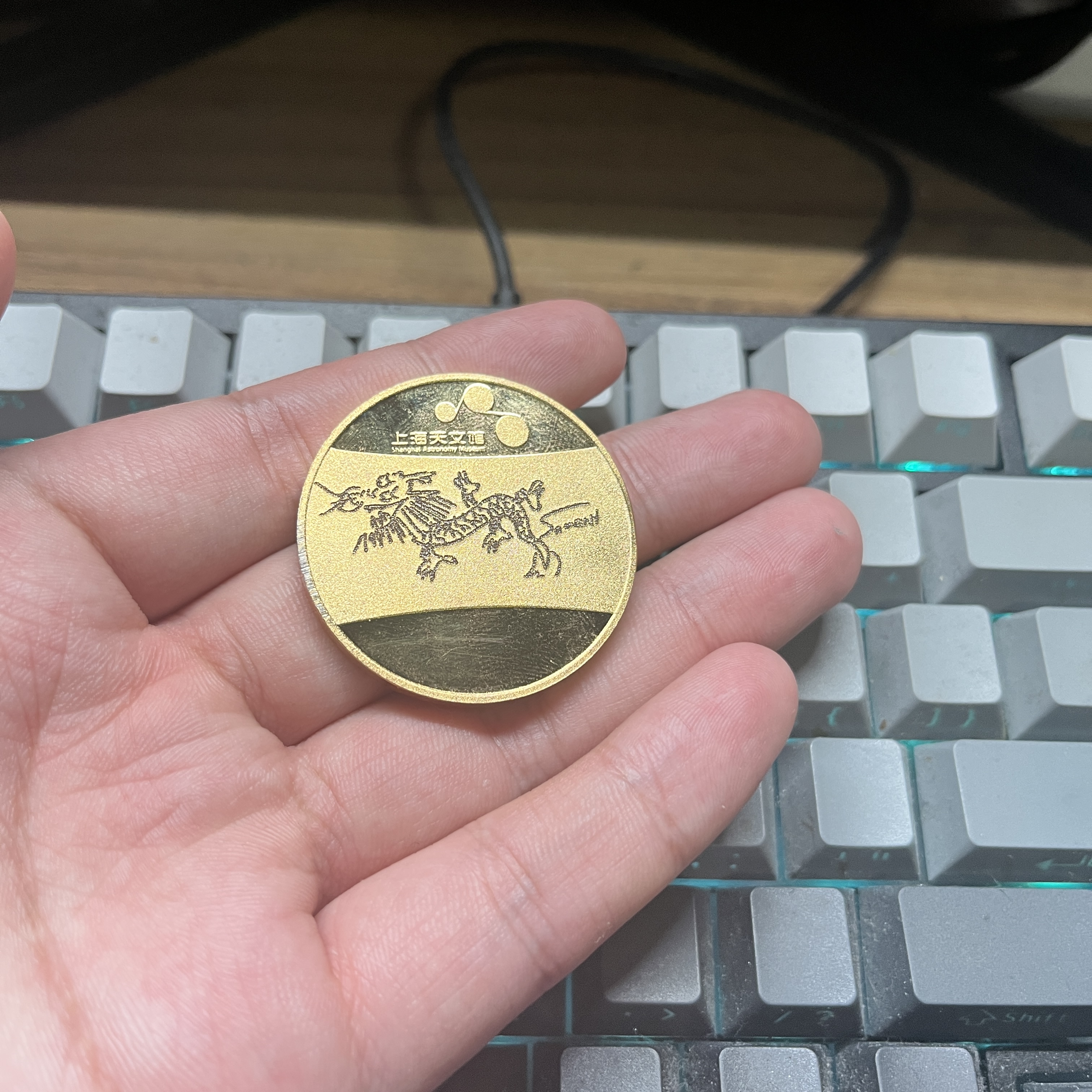 金币正面，来自胖达的画作