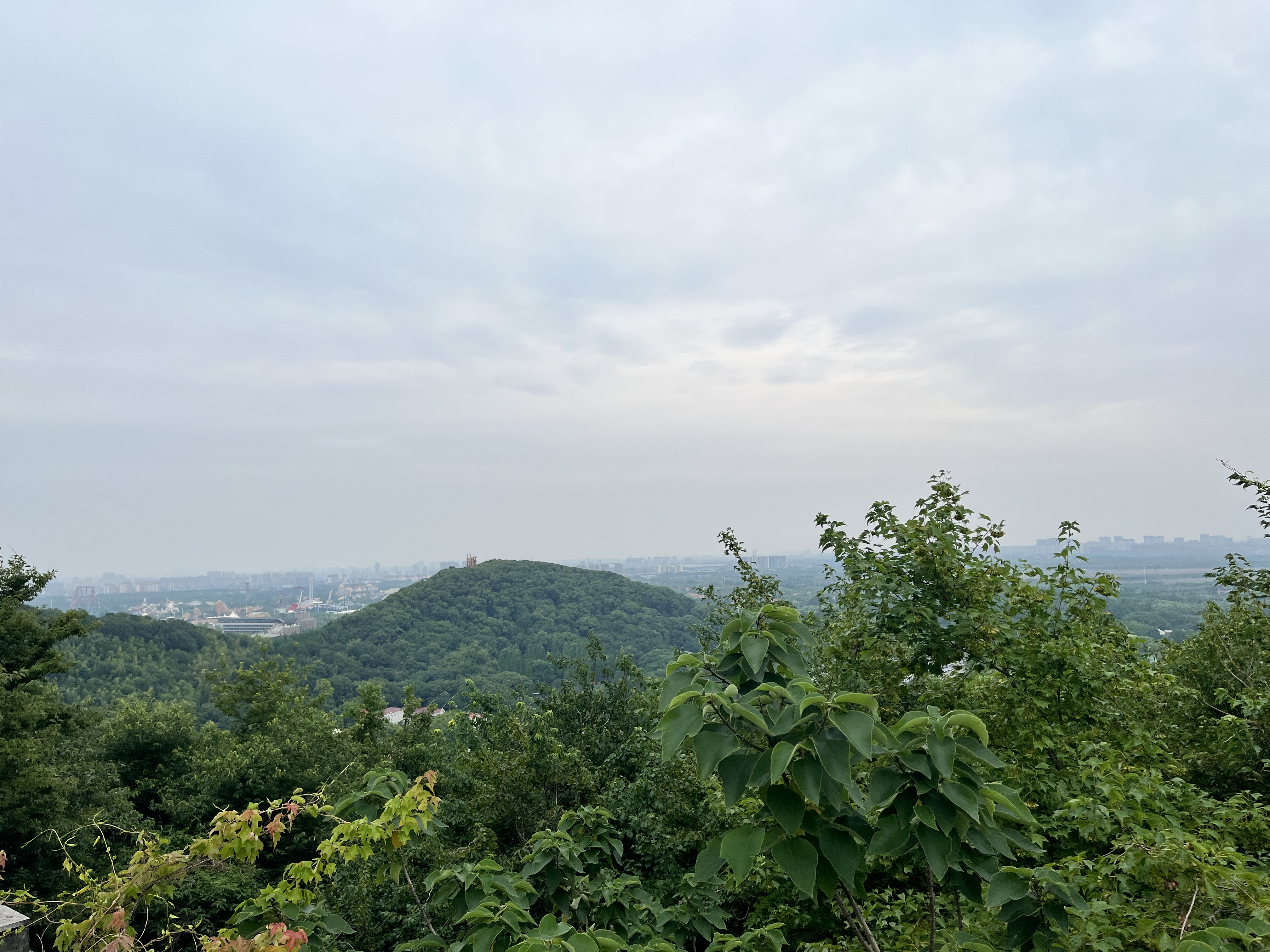 西佘山峰顶